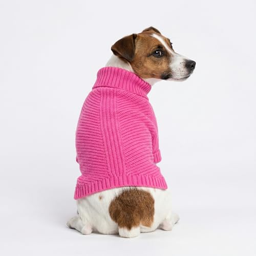 Valentines Dog Turtleneck Sweater (X-Small / Rose Red)