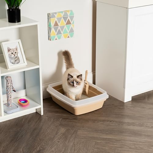 Large Cat Litter Box (Open Top / Beige)