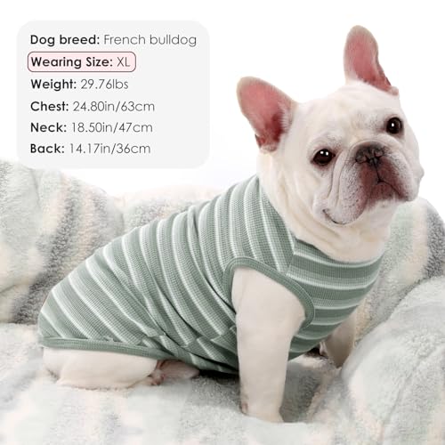 3Pack Dog Shirts Lightweight Waffle Dog Shirt for Small DogsSleeveless Dog Shirt for Small Medium Boy Girl Dogs Cozy & Breathable Pet Vest (2XL(Back: 19.7", Chest: 25.6", 29.8-40.8lbs) / Light Green+Light Grey+Iron Blue)