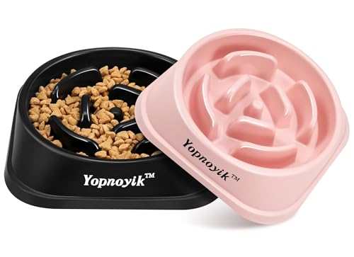 2 Pack Slow Feeder Dog Bowls for Large Dogs (Large / Black and Pink)