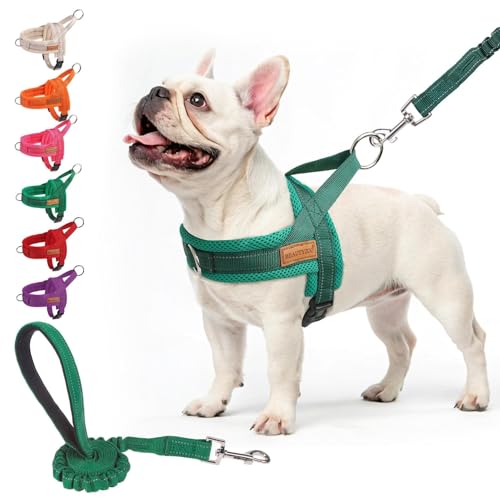 Dog Harness Medium Sized and Leash Set (Green / M: Chest 21"-26.7")