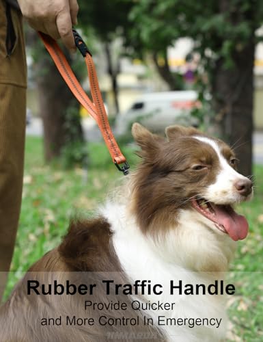 Heavy Duty Dog Leash (Orange)