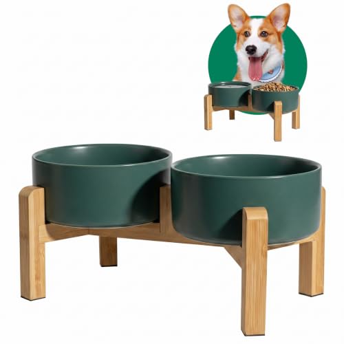 Elevated Ceramic Dog Bowl (Green / Medium)