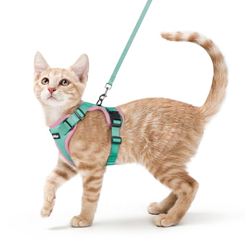 Cat Harness and Leash Set (S / Green & Pink)