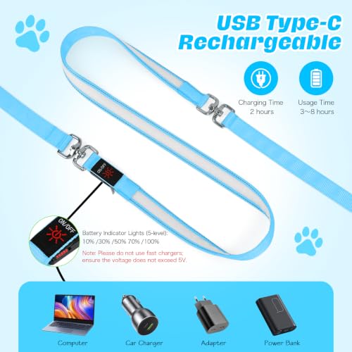 Light Up Dog Leash (Blue / 6FT)