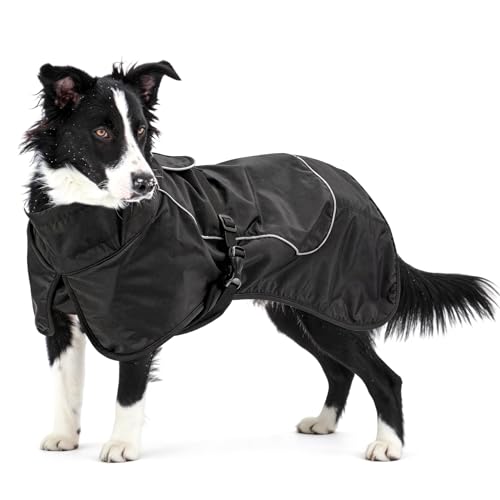 Waterproof Dog Raincoat (Black (Velvet Lining) / 2XL)