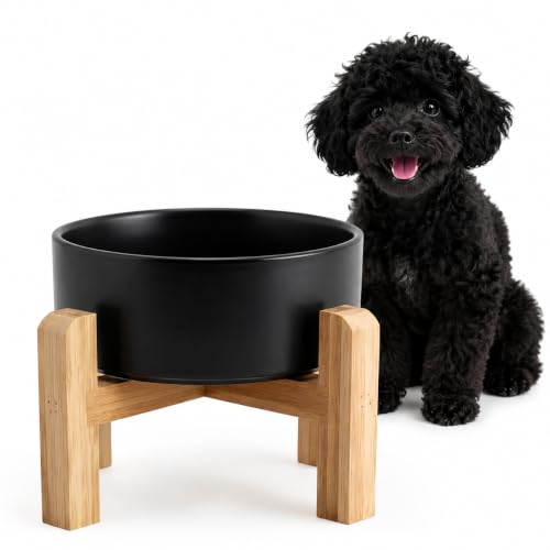 Elevated Raised Ceramic Dog Bowl with Bamboo Stand (Black / Medium)