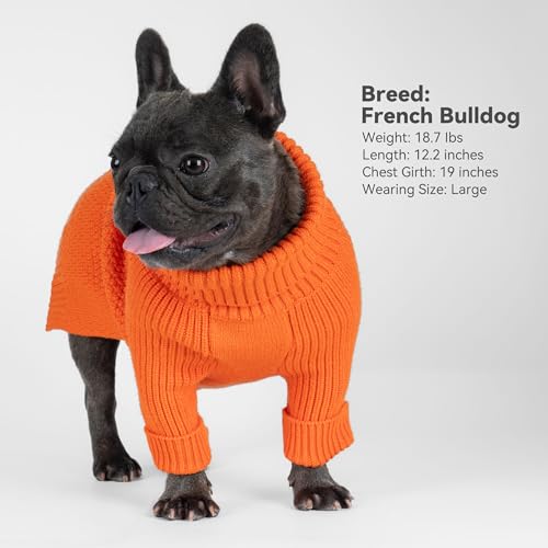 Dog Sweater Long Sleeve Knitted Turtleneck Pullover Warm Clothes (Orange / XX-Large)