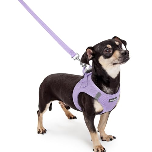 Dog Harness Small Sized and Leash Set (Light Purple / Xxxs (chest: 10.8 - 11.8"))