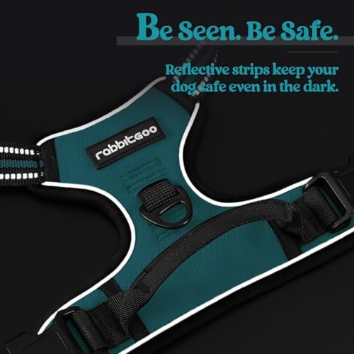 Dog Harness No Pull for Large Dogs with 2 Leash Clips (X-Large / Teal)