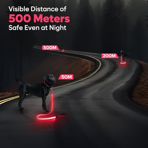 LED Dog Leash (Pink)