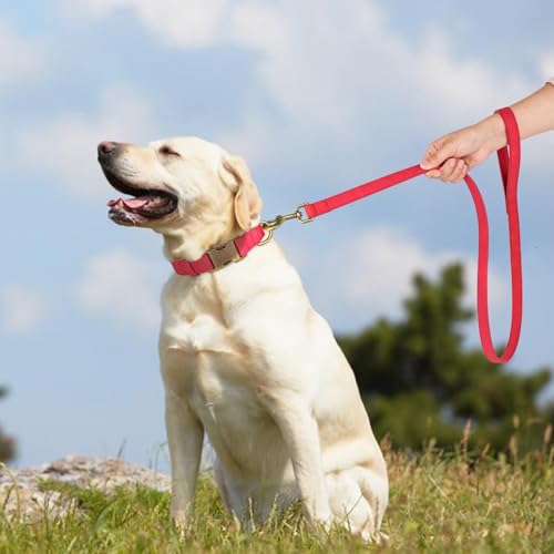 PU Leather Dog Leash for Small Dogs (Red / 3/4''x 4FT)
