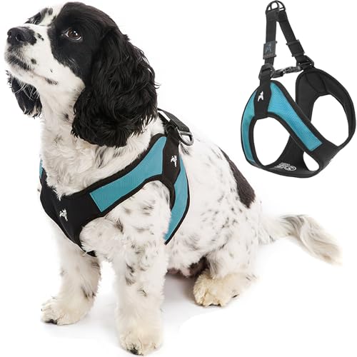 Escape Free Easy Fit Dog Harness (Large chest (20.25~24.75") / Turquoise)