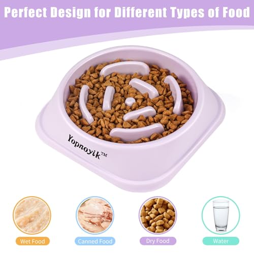 2 Pack Slow Feeder Dog Bowls for Medium Dogs & Cats (Medium / Pink and Purple)