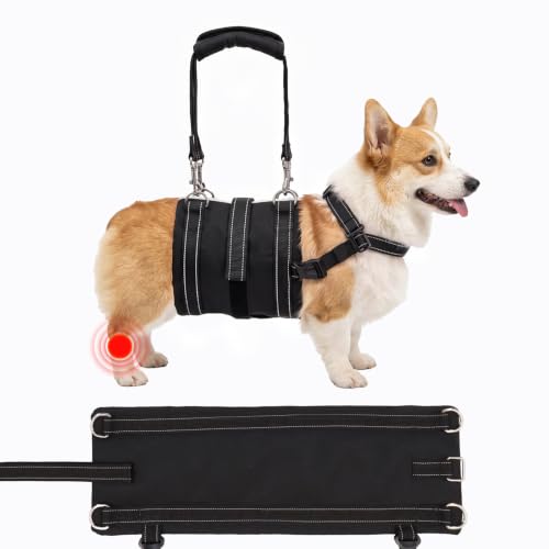 Adjustable All Dog Lift Harness for Large Dogs (Black (Female & Male) / Medium)