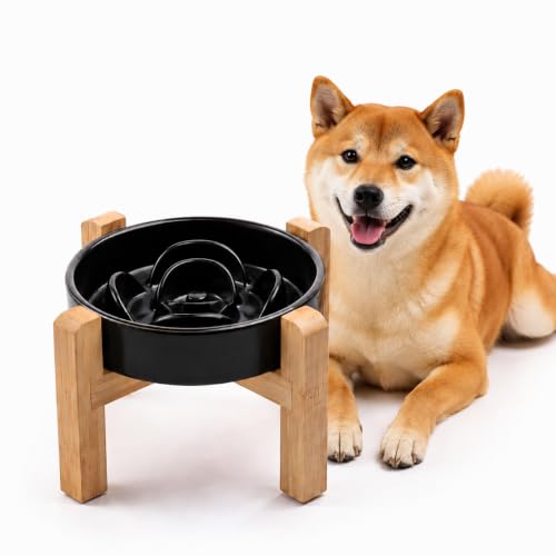 Ceramic Slow Feeder (Black / 8.26in)