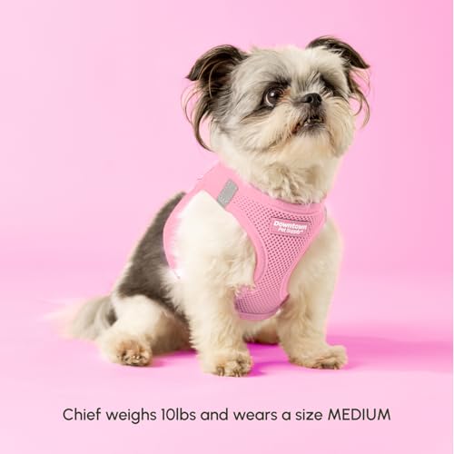 Step in Dog Harness for Small Dogs (X-Small / Baby Pink)