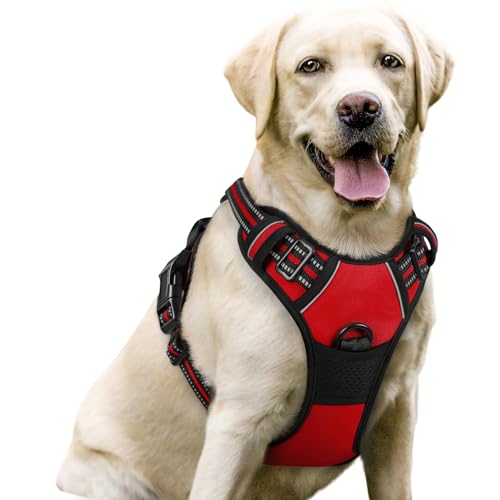 Dog Harness No Pull for Large Dogs with 2 Leash Clips (Large / Red)