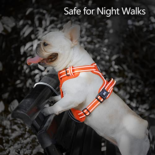 No Pull Dog Harness (XS / Orange(Matching Trim))