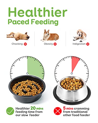 Elevated Slow Feeder Bowls (Black)