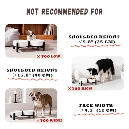 Raised Ceramic Dog Bowl Set with Stand (White / 2 Bowls - 2.1 Cups Each)