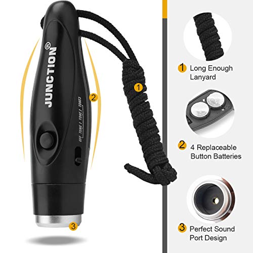 Electronic Whistle
