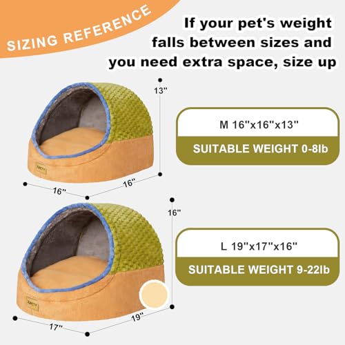 Cute Cat Beds for Indoor Cats (Medium / Green)
