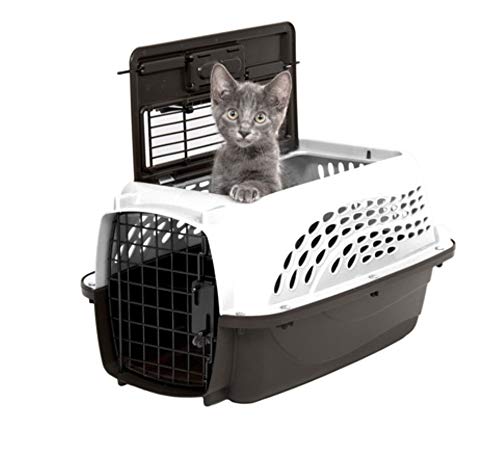 Two Door Plastic Pet Kennel for Small Dogs and Cats (Two-door / 19.4"L x 10.0"W x 12.8"H / WHITE)