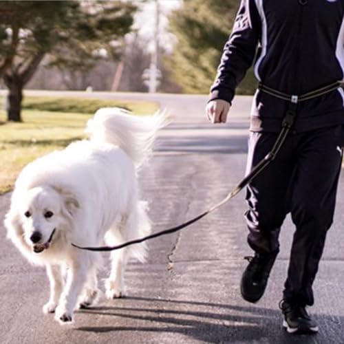 Hands Free Dog Leash - PetSolution