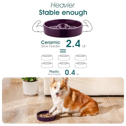 Slow Feeder Dog Bowl (M - 1.5 Cups / Dark Purple)