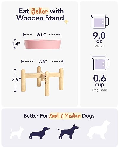 Ceramic Slow Feed Dog Bowls (Pink Bloom+Stand / S-0.6 Cups)