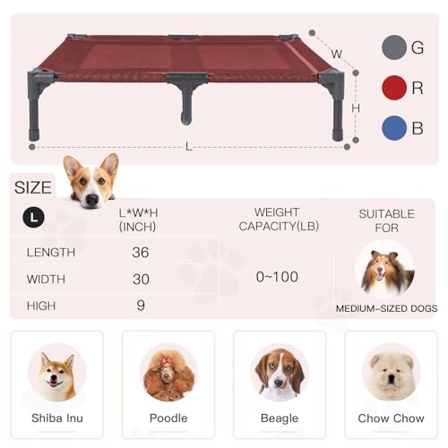 Elevated Dogs Bed Waterproof Outdoor (L (36"L x 30"W x 7"H) / Red)