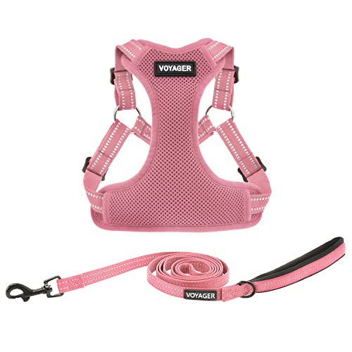 Voyager Adjustable Step (Harness Leash Set (Pink) / M)