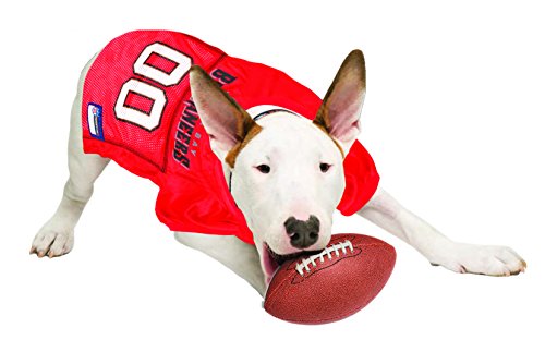NFL NFC South Mesh Jersey for Dogs (Small / Tampa Bay Buccaneers)