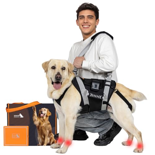 Dog Lift Harness for Large Dogs (Black / Large)
