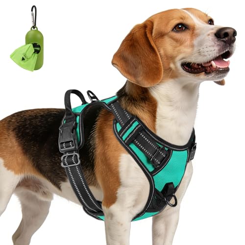 No Pull Dog Harness Medium Sized Dog (Medium / Teal)