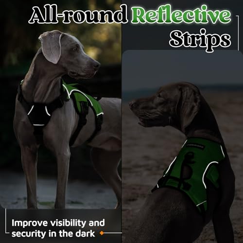 Escape Proof Dog Harness for Medium (Green / Medium)