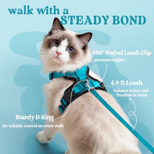 Cat Harness and Leash Set (Xs / Teal)
