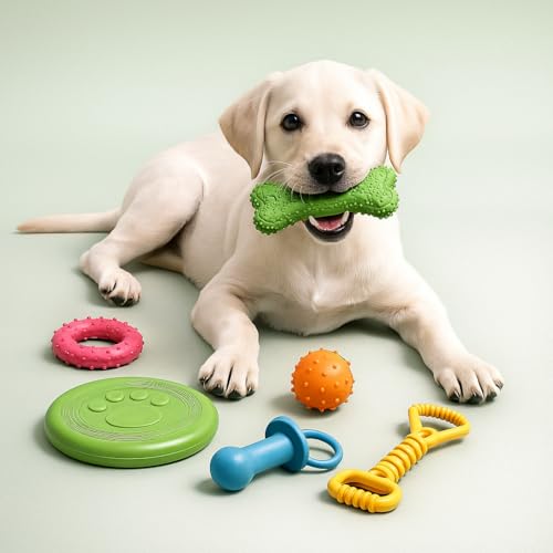 Chew Toy Natural Rubber chew Toy for Interactive Play Toy Ball Rope Rubber Value Set for Small to Medium Breed Dog mutt Puppy (Multicolour)