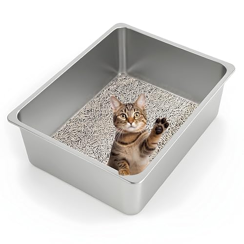 XL Stainless Steel Cat Litter Box High Sided (23.43" L x 15.55" W x 5.7" H)