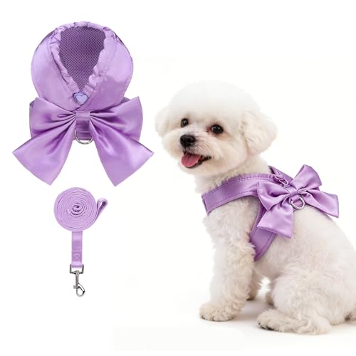 Small Dog Harness and Leash Set (PURPLE / S (Chest Girth: 13.8"-15.7"))