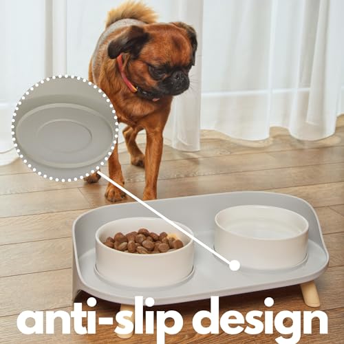 Ceramic Dog Bowls with Stand (13.5 OZ / White / Gray)