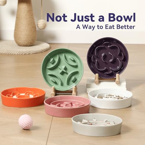 Ceramic Slow Feeder Dog Bowl (White / Small without Stand)