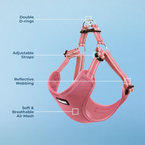 Voyager Step in Flex Adjustable Dog Harness (Harness (Pink) / S)