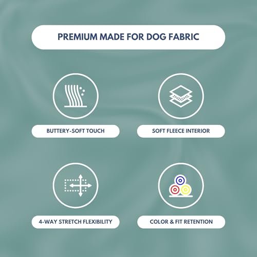Dog Hoodie Buttery (Teal / XX-Large)