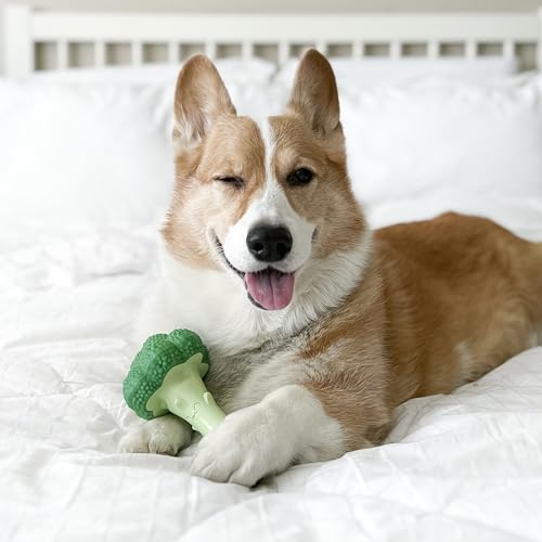 Power Chew Broccoli Dog Chew Toy (Broccoli 1 Pack / Large)