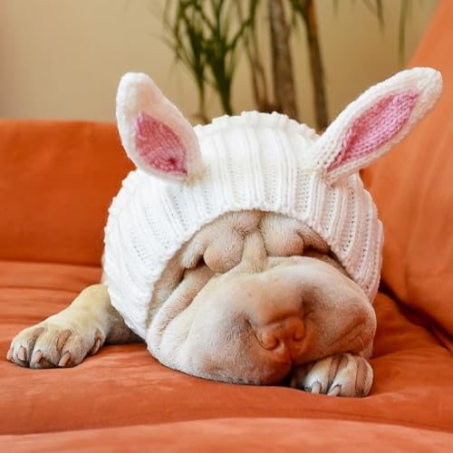 Bunny Costume (Small)