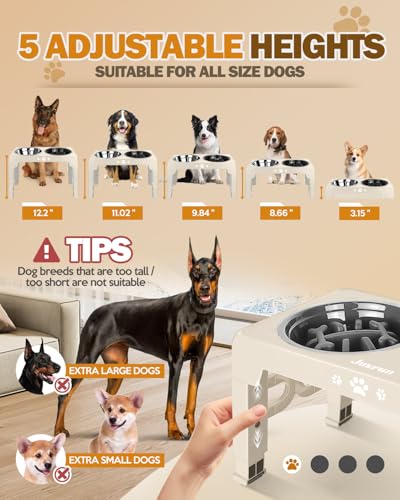 Elevated Dog Bowls for Medium Large Size Dogs (for Medium Large Dogs 1 Basic&1Slow Bowl / Beige)