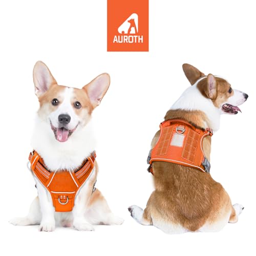 Tactical Dog Harness Medium Sized Dog No Pull Adjustable Dog Vest (Orange / M(Neck:16-22",Chest:22-33"),35-50 lbs)