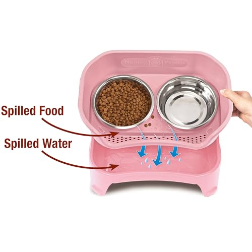 Express Model w (Medium to Large w/ Metal Slow Feed Bowl / Pink)